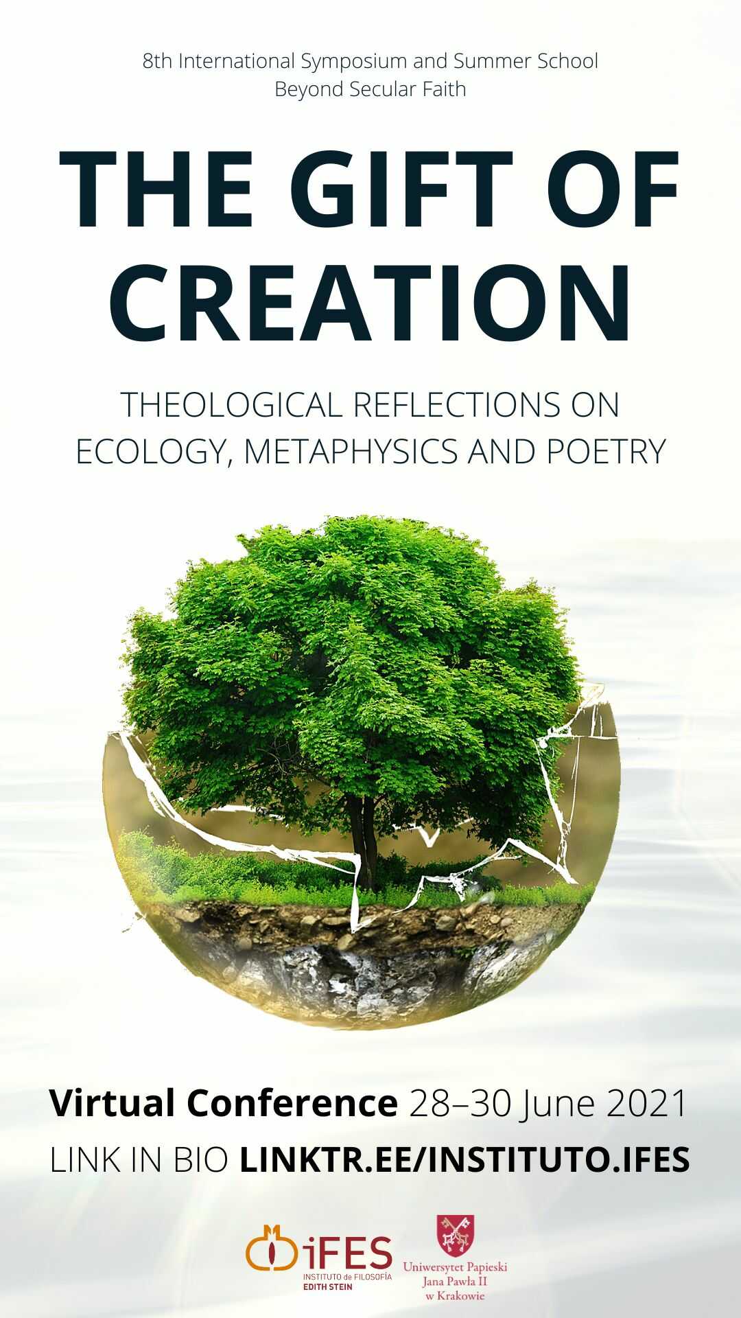 theological_reflections_on_ecology_metaphysics_and_poetry16100.jpg